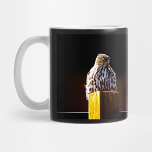 " Observe " : Coopers hawk wildlife Mug